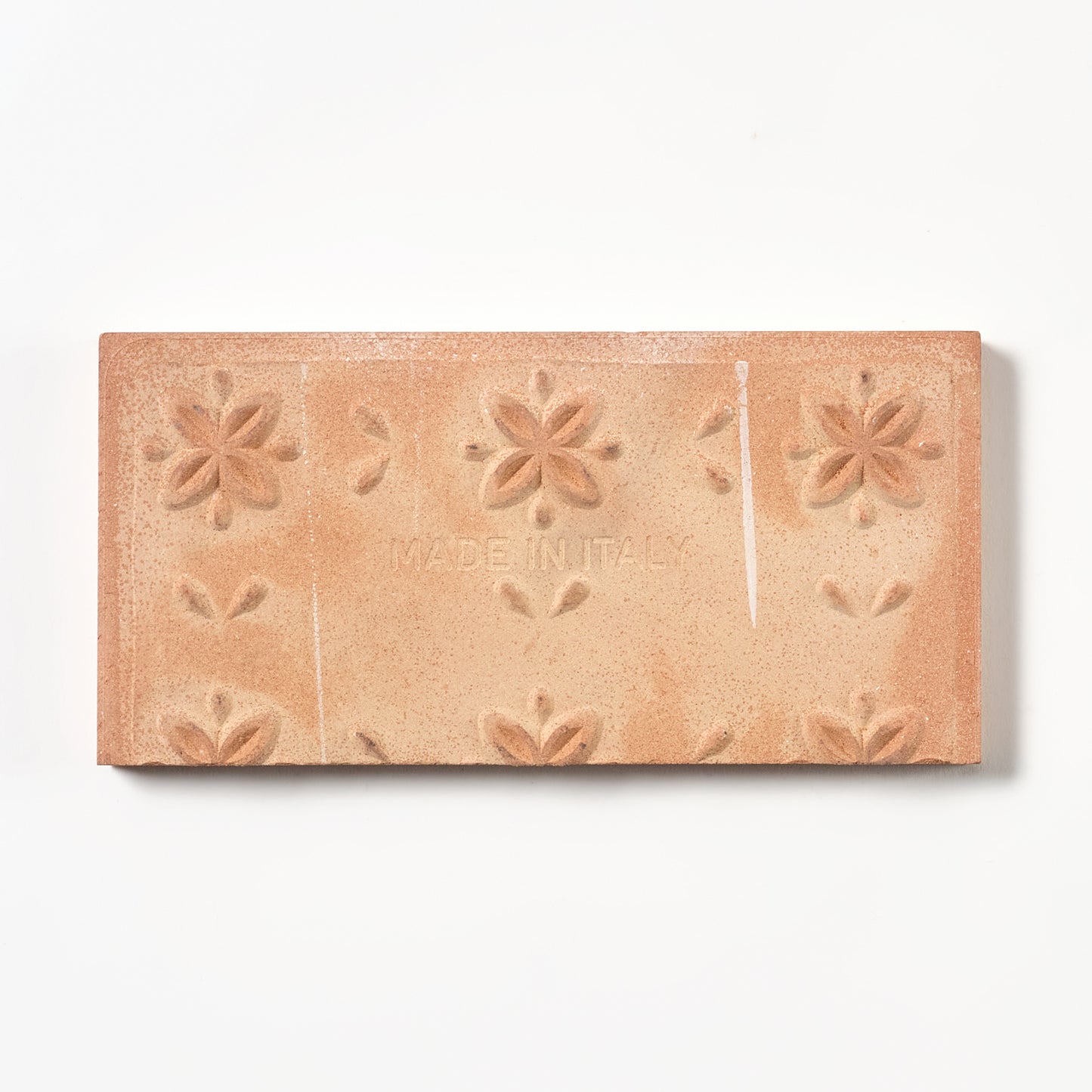 1980s Biscuit Italian Made Floral Vine Border Wall Tile