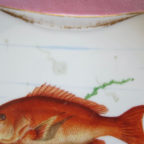 Late 19th Century Pink & Raspberry Red Colored Victorian Fish Wall Plates- 7 Pieces