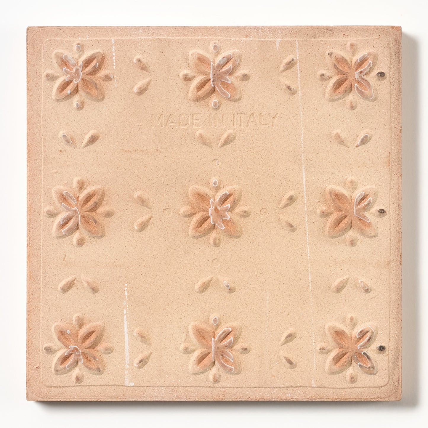 1980s Biscuit Hand Painted Italian Made Vine and Flower Wall Tile